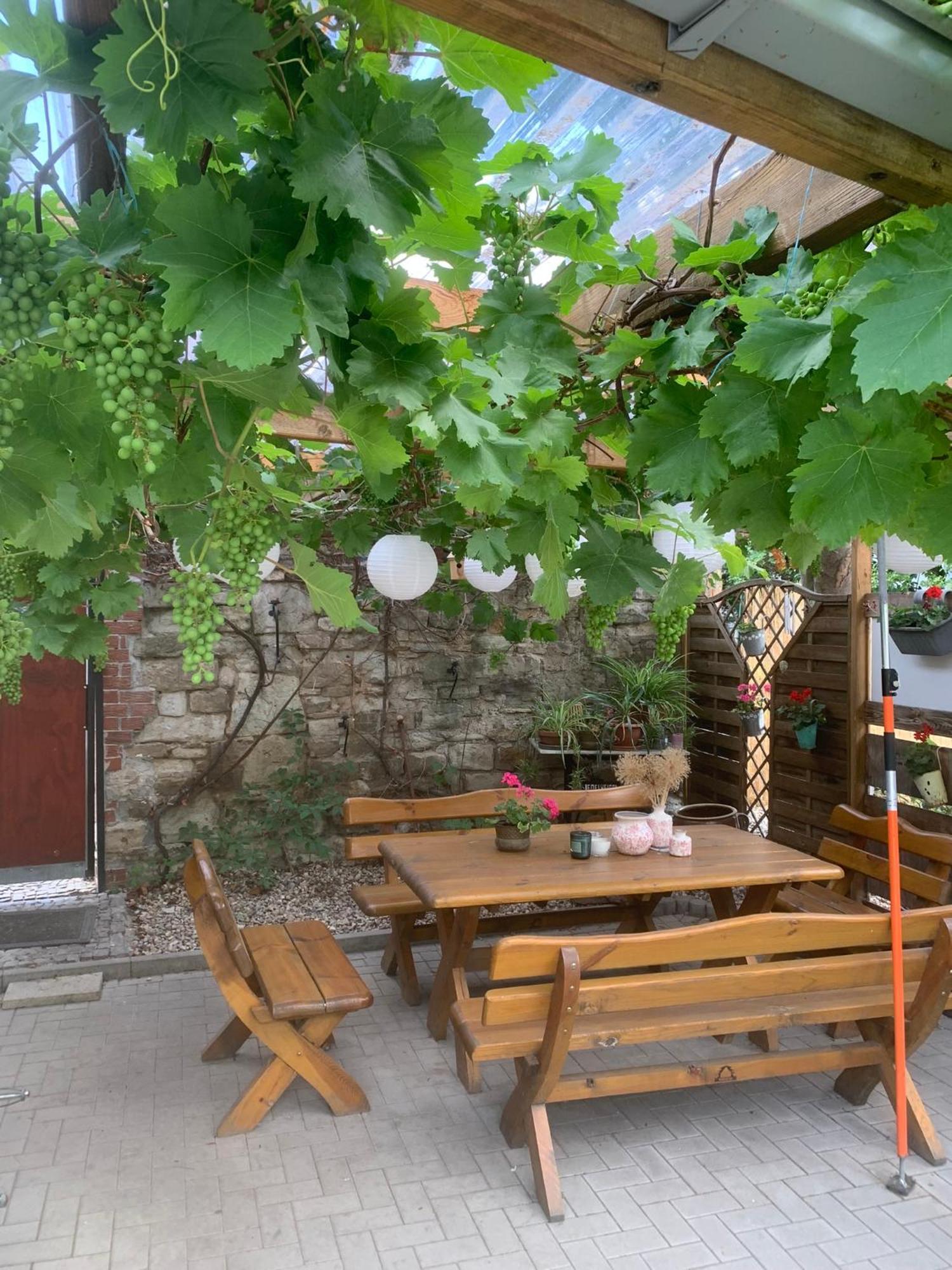 Pension Am Werder Bernburg Luaran gambar